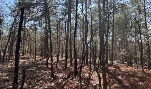 Photo #14 of North Forsythe Ln, Cameron, NC 4.6 acres