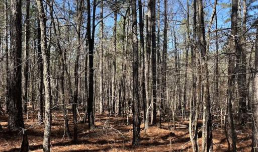 Photo #16 of North Forsythe Ln, Cameron, NC 4.6 acres