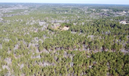 Photo #17 of North Forsythe Ln, Cameron, NC 4.6 acres