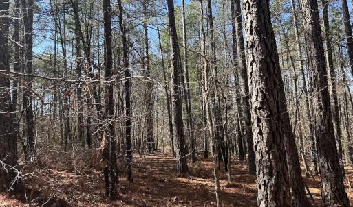Photo #18 of North Forsythe Ln, Cameron, NC 4.6 acres