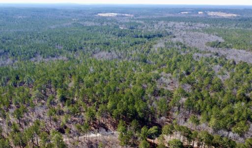 Photo #1 of North Forsythe Ln, Cameron, NC 4.6 acres