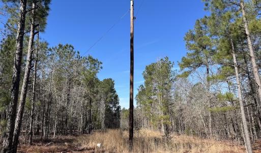 Photo #20 of North Forsythe Ln, Cameron, NC 4.6 acres