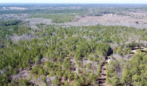 Photo #22 of North Forsythe Ln, Cameron, NC 4.6 acres