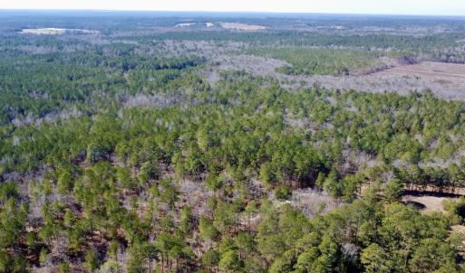 Photo #23 of North Forsythe Ln, Cameron, NC 4.6 acres