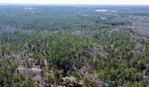 Photo #3 of North Forsythe Ln, Cameron, NC 4.6 acres