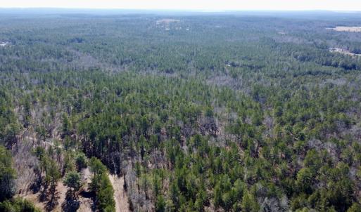 Photo #5 of North Forsythe Ln, Cameron, NC 4.6 acres