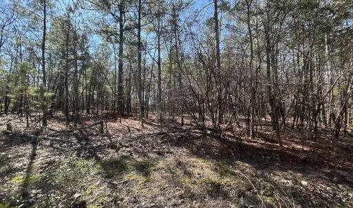 Photo #6 of North Forsythe Ln, Cameron, NC 4.6 acres