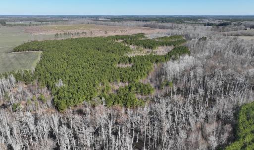 Photo #1 of Off Middle Swamp Rd, Corapeake, NC 234.4 acres