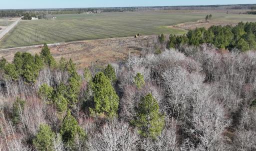 Photo #9 of Off Middle Swamp Rd, Corapeake, NC 234.4 acres