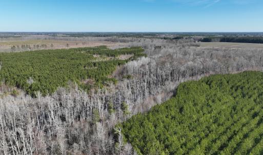 Photo #2 of Off Middle Swamp Rd, Corapeake, NC 234.4 acres