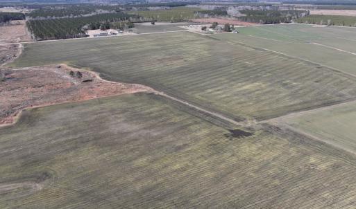 Photo #4 of Off Middle Swamp Rd, Corapeake, NC 234.4 acres
