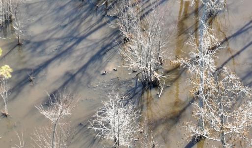 Photo #6 of Off Middle Swamp Rd, Corapeake, NC 234.4 acres
