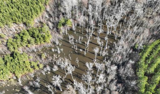Photo #7 of Off Middle Swamp Rd, Corapeake, NC 234.4 acres