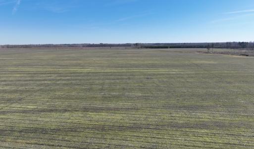 Photo #10 of Off Middle Swamp Rd, Corapeake, NC 234.4 acres