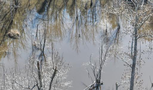 Photo #20 of Off Middle Swamp Rd, Corapeake, NC 234.4 acres
