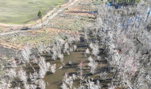 Photo #21 of Off Middle Swamp Rd, Corapeake, NC 234.4 acres