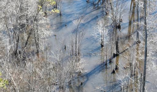 Photo #22 of Off Middle Swamp Rd, Corapeake, NC 234.4 acres