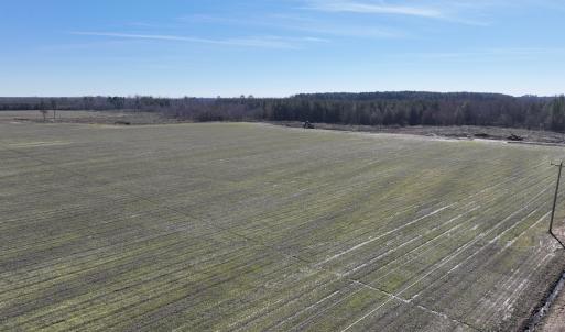 Photo #11 of Off Middle Swamp Rd, Corapeake, NC 234.4 acres