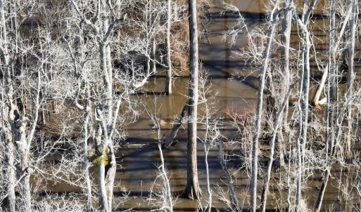 Photo #23 of Off Middle Swamp Rd, Corapeake, NC 234.4 acres