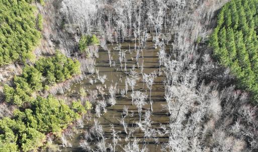 Photo #24 of Off Middle Swamp Rd, Corapeake, NC 234.4 acres
