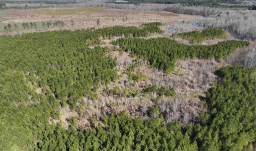 Photo #26 of Off Middle Swamp Rd, Corapeake, NC 234.4 acres