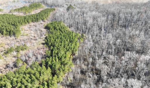 Photo #27 of Off Middle Swamp Rd, Corapeake, NC 234.4 acres