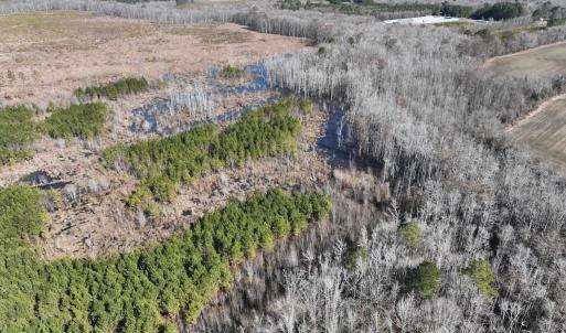 Photo #29 of Off Middle Swamp Rd, Corapeake, NC 234.4 acres