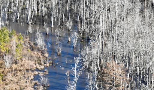 Photo #30 of Off Middle Swamp Rd, Corapeake, NC 234.4 acres