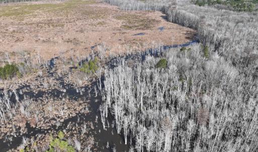 Photo #31 of Off Middle Swamp Rd, Corapeake, NC 234.4 acres
