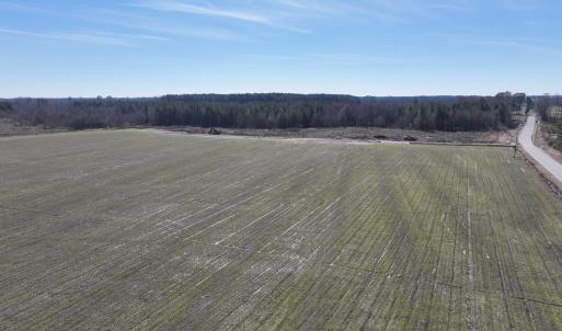 Photo #12 of Off Middle Swamp Rd, Corapeake, NC 234.4 acres