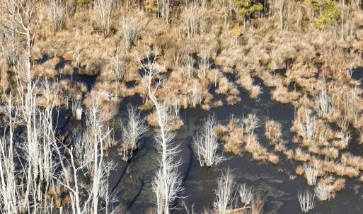 Photo #33 of Off Middle Swamp Rd, Corapeake, NC 234.4 acres