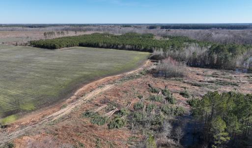 Photo #36 of Off Middle Swamp Rd, Corapeake, NC 234.4 acres