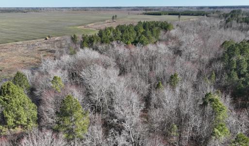 Photo #14 of Off Middle Swamp Rd, Corapeake, NC 234.4 acres