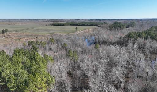 Photo #15 of Off Middle Swamp Rd, Corapeake, NC 234.4 acres