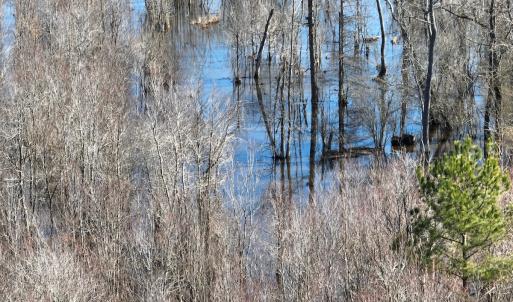 Photo #16 of Off Middle Swamp Rd, Corapeake, NC 234.4 acres