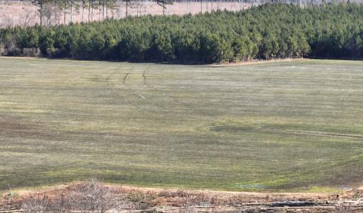 Photo #17 of Off Middle Swamp Rd, Corapeake, NC 234.4 acres