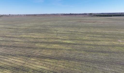 Photo #40 of Off Middle Swamp Rd, Corapeake, NC 234.4 acres