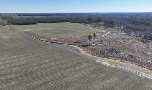 Photo #42 of Off Middle Swamp Rd, Corapeake, NC 234.4 acres