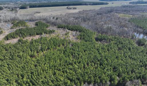 Photo #43 of Off Middle Swamp Rd, Corapeake, NC 234.4 acres