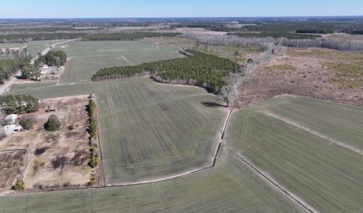 Photo #7 of Off Middle Swamp Rd, Corapeake, NC 49.0 acres