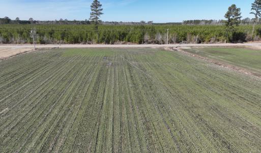 Photo #2 of Off Middle Swamp Rd, Corapeake, NC 49.0 acres