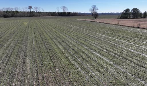 Photo #5 of Off Middle Swamp Rd, Corapeake, NC 49.0 acres