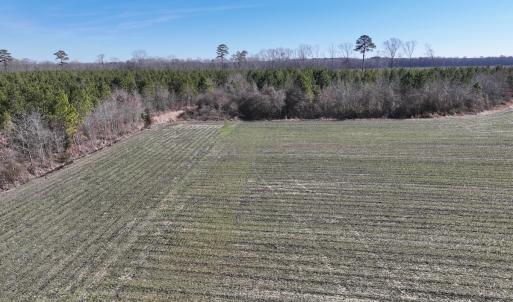 Photo #6 of Off Middle Swamp Rd, Corapeake, NC 49.0 acres