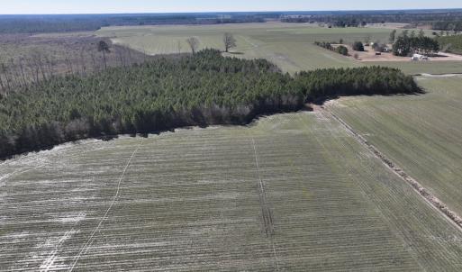 Photo #15 of Off Middle Swamp Rd, Corapeake, NC 49.0 acres
