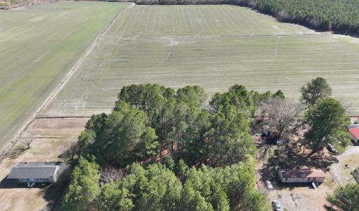 Photo #17 of Off Middle Swamp Rd, Corapeake, NC 49.0 acres