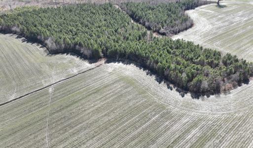 Photo #19 of Off Middle Swamp Rd, Corapeake, NC 49.0 acres