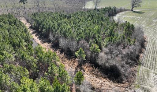 Photo #20 of Off Middle Swamp Rd, Corapeake, NC 49.0 acres