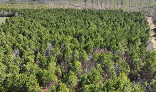 Photo #21 of Off Middle Swamp Rd, Corapeake, NC 49.0 acres
