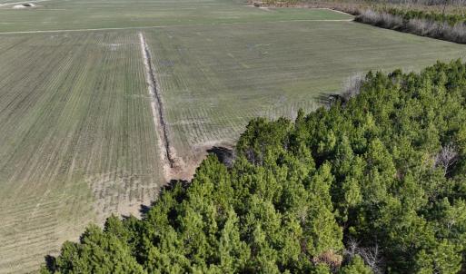 Photo #22 of Off Middle Swamp Rd, Corapeake, NC 49.0 acres