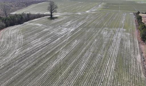 Photo #23 of Off Middle Swamp Rd, Corapeake, NC 49.0 acres